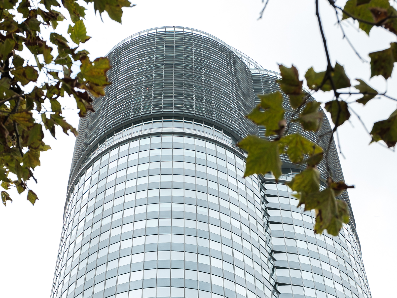 Gläserner Hochhaus-Turm, von Baumblättern am Bildrand eingerahmt.